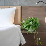 La Truong Cong Dinh Hotel